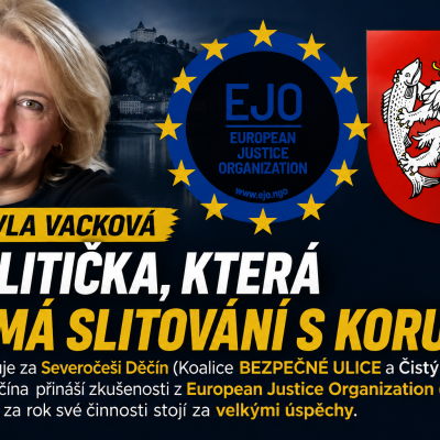 politická aktivistka peroti korupci, nezávislá politička